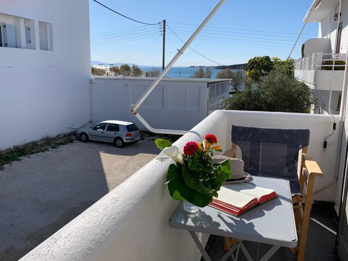 Studio Apartment Violetta At Livadia Beach Páros 外观 照片